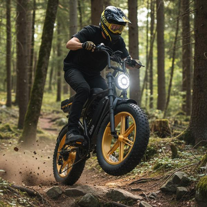 R9 Electric Bike 1500W Dual Battery | up to 130 Miles Range | 20"X4.0 Fat Tires | 7-Speed, LCD Display, Front Suspension | Adult Ebike