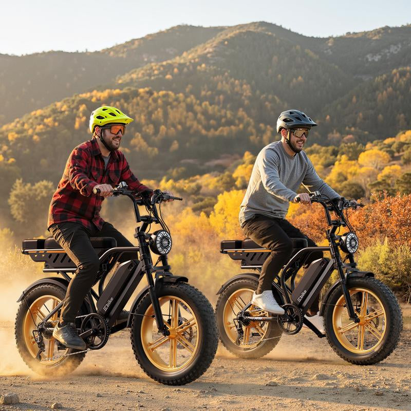 R9 Electric Bike 1500W Dual Battery | up to 130 Miles Range | 20"X4.0 Fat Tires | 7-Speed, LCD Display, Front Suspension | Adult Ebike